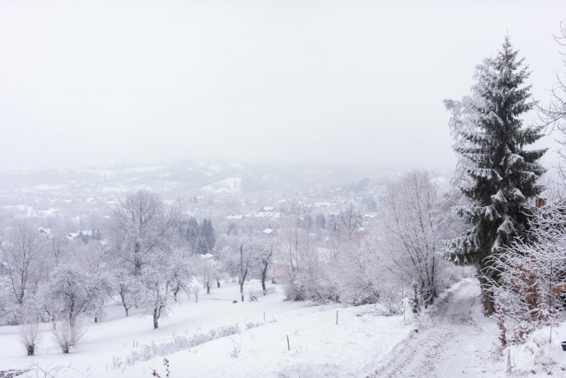 Panorámás kilátással Bran apartman Törcsvár 710779 thumb