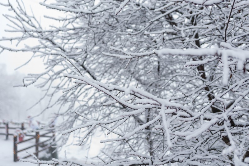 Panorámás kilátással Bran apartman Törcsvár 710770 thumb