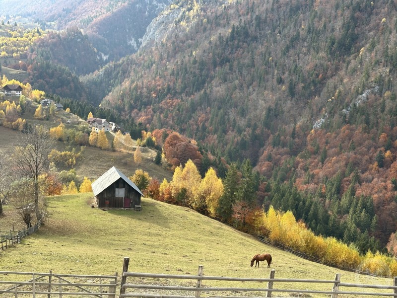 Magura vendégház Magura 709037 thumb