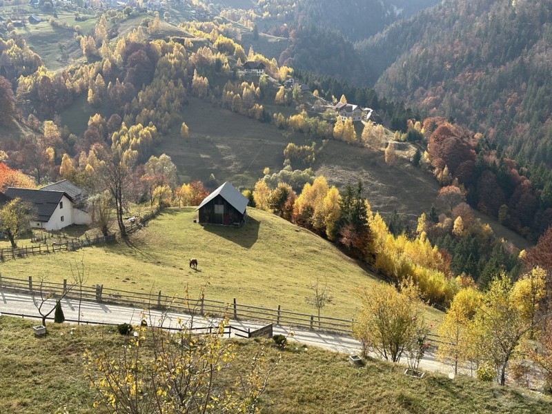 Magura vendégház Magura 709124 thumb