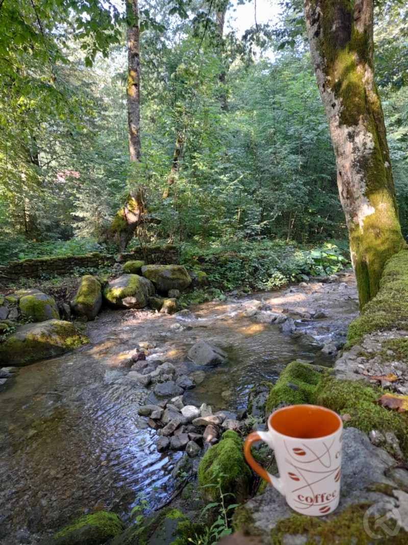 Kulcsosház Valea Rea  Boga Völgye 708643 thumb