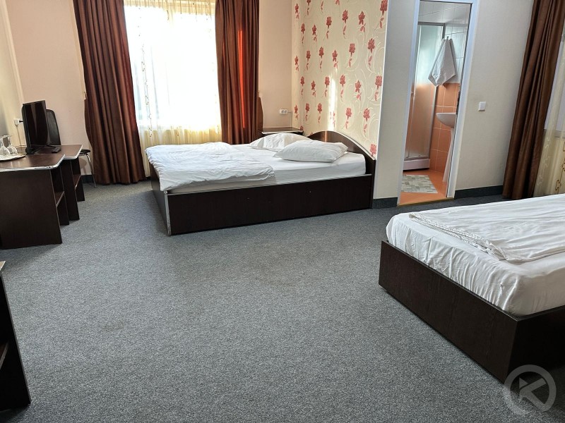 Pensiunea La Vasile Zilah 684701 thumb