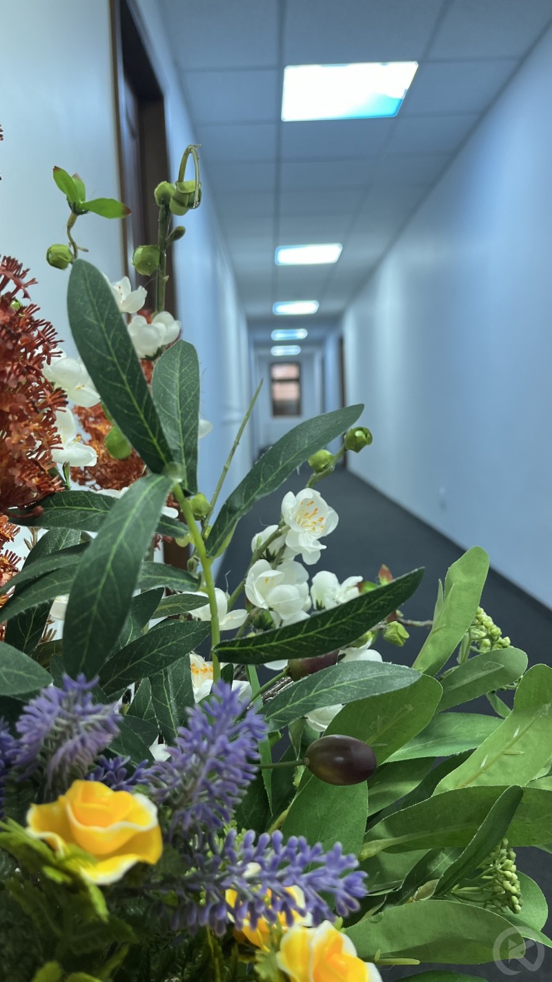 Europa Hotel Marosújvár 704723 thumb