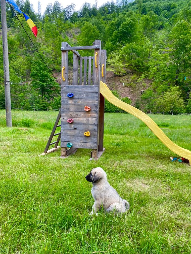 Mădălin Kulcsosház Vasaskőfalva 683857 thumb