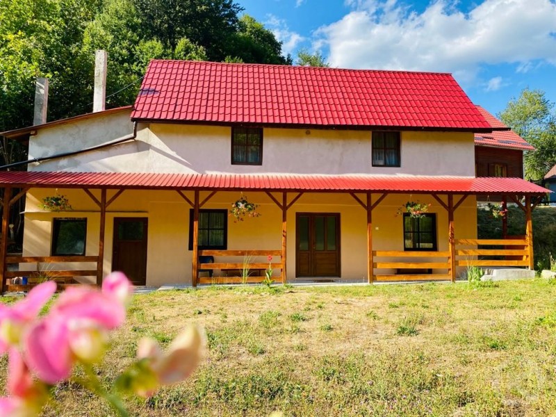 Mădălin Kulcsosház Vasaskőfalva 683863 thumb