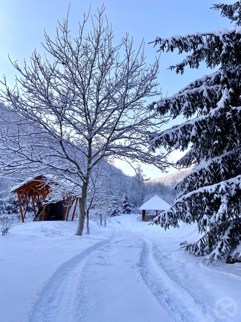 Mădălin Kulcsosház Vasaskőfalva 683856 thumb