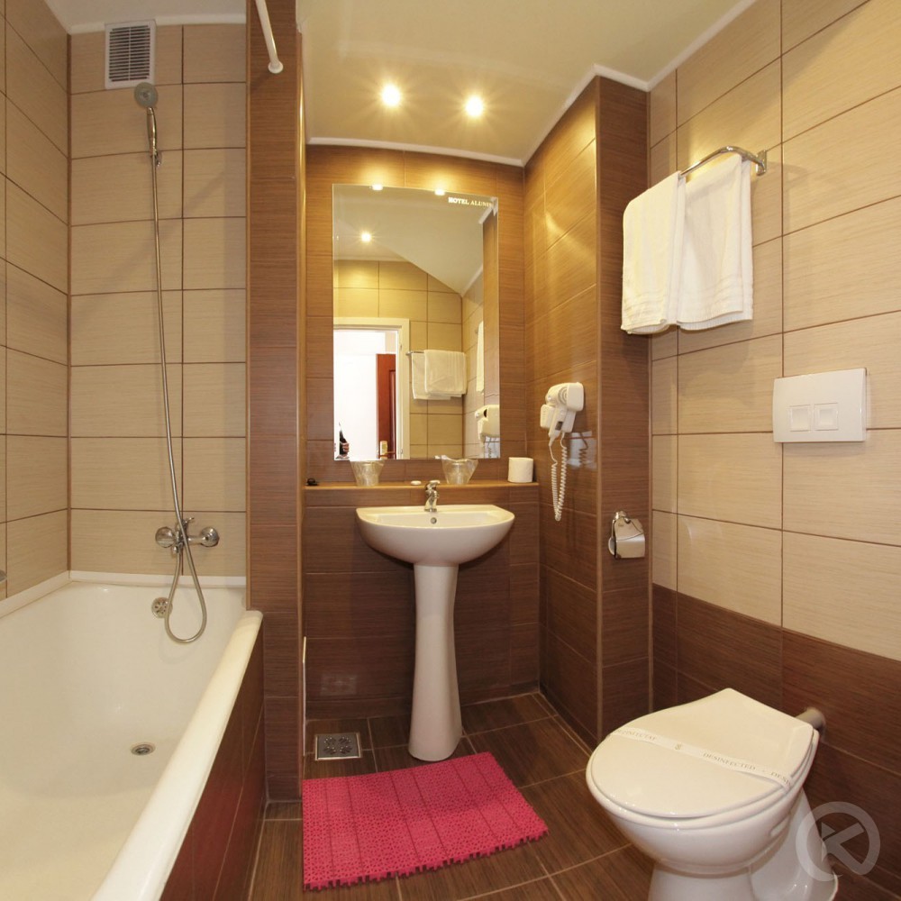 Alunis (Mogyorós) Hotel Szováta 676578 thumb