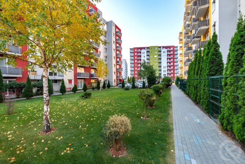 Brașov Altipiani Apartmanok Brassó 713448 thumb