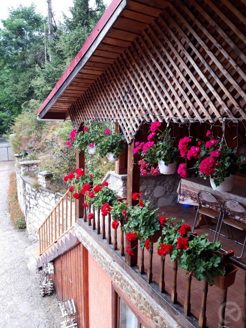 CABANA MED 1 Lepus 713959 thumb