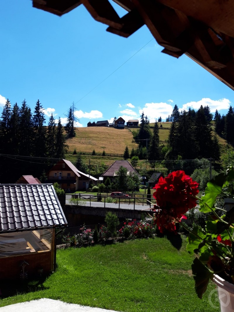 CABANA MED 1 Lepus 713957 thumb