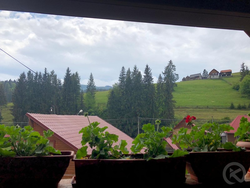 CABANA MED 1 Lepus 713917 thumb