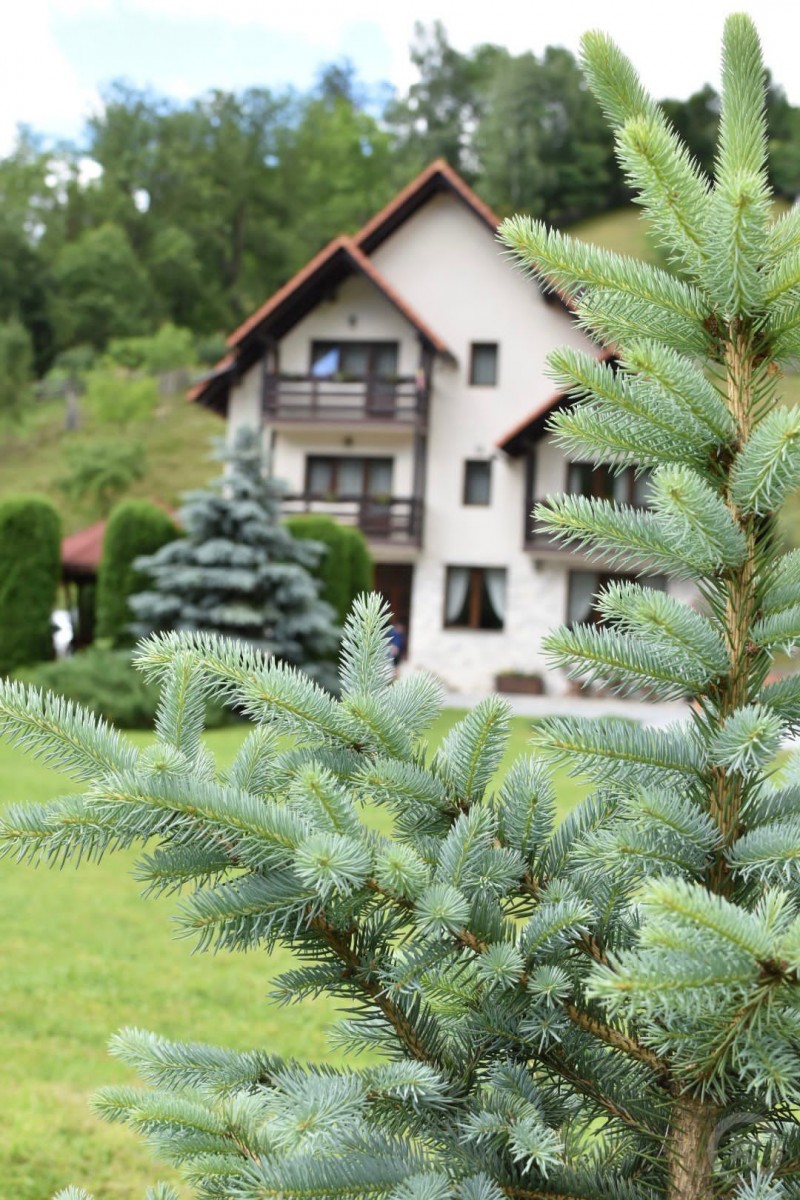 POIENIŢA PANZIÓ Fehérvölgy 713154 thumb