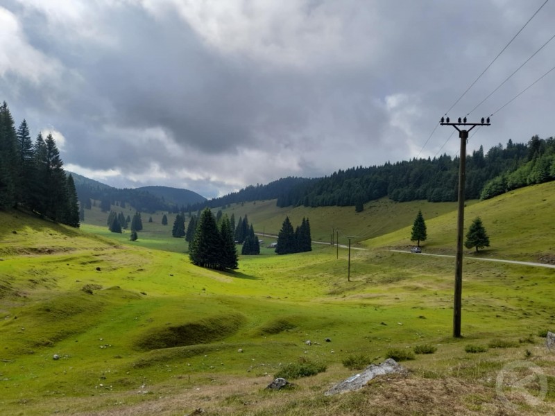 Padiș turisztikai övezet 118 thumb