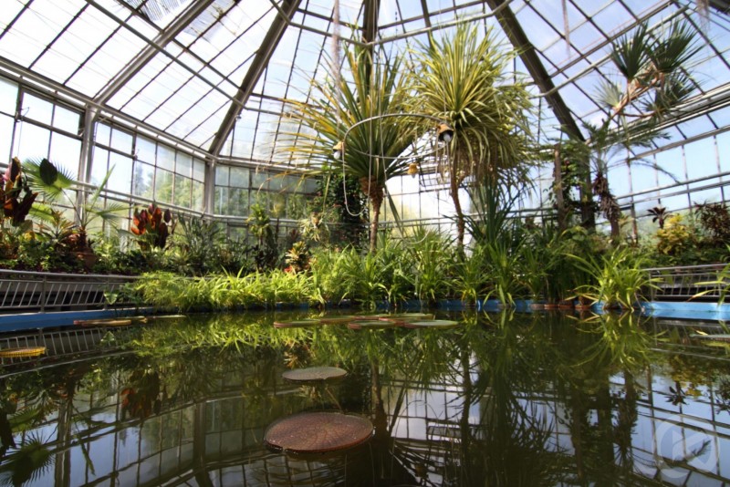 GRADINA BOTANICA ALEXANDRU BORZA 140 thumb