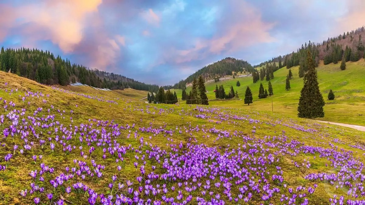 Felsőgirda (G&acirc;rda de Sus) &ndash; turisztikai bemutat&oacute;